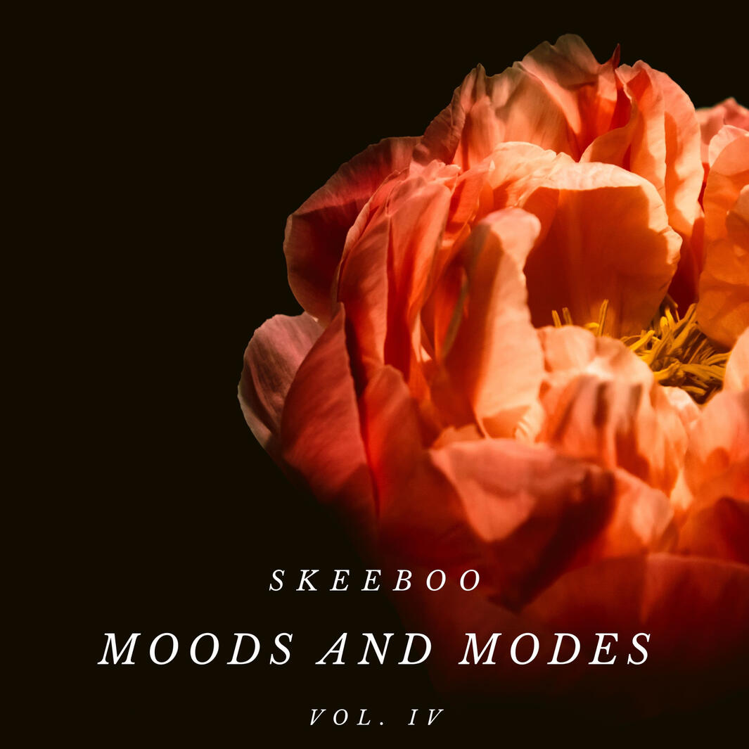 Moods and Modes vol. IV Moods and Modes vol. IV
