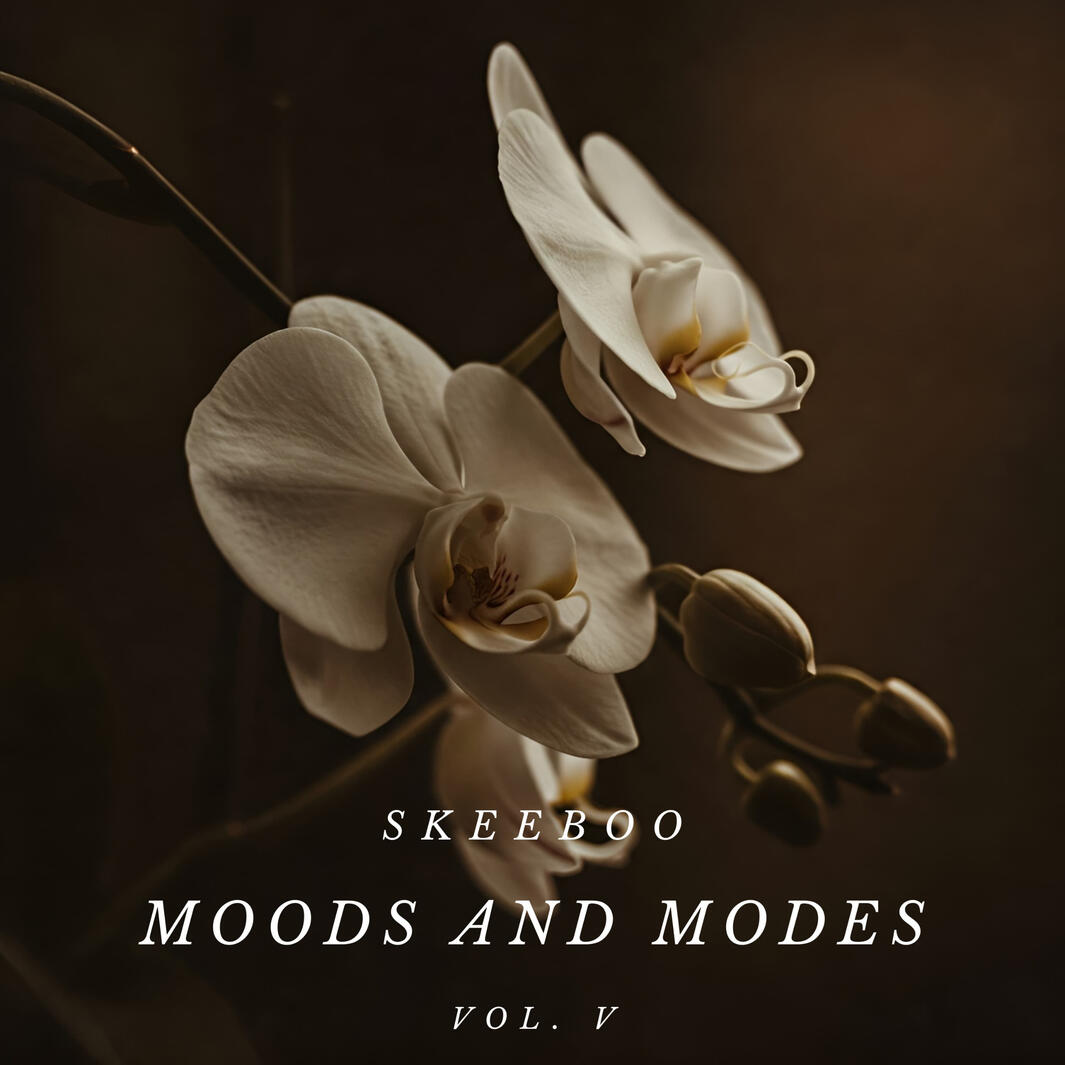 Moods and Modes vol. V