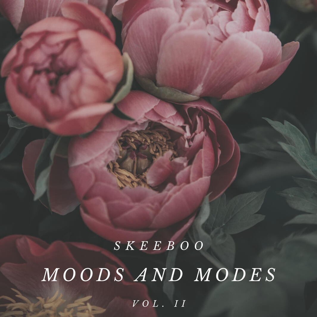 Moods and Modes vol. II Moods and Modes vol. II