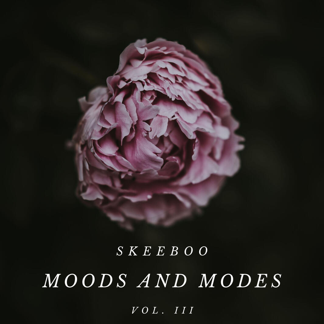 Moods and Modes vol. III Moods and Modes vol. III